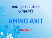 Amino Axit là gì? Tính chất vật lý, Tính chất hóa học và Cấu tạo phân tử Amino Axit - Lý thuyết Hóa 12 bài 10
